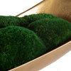 Uttermost Home Uttermost Venice Moss Centerpiece