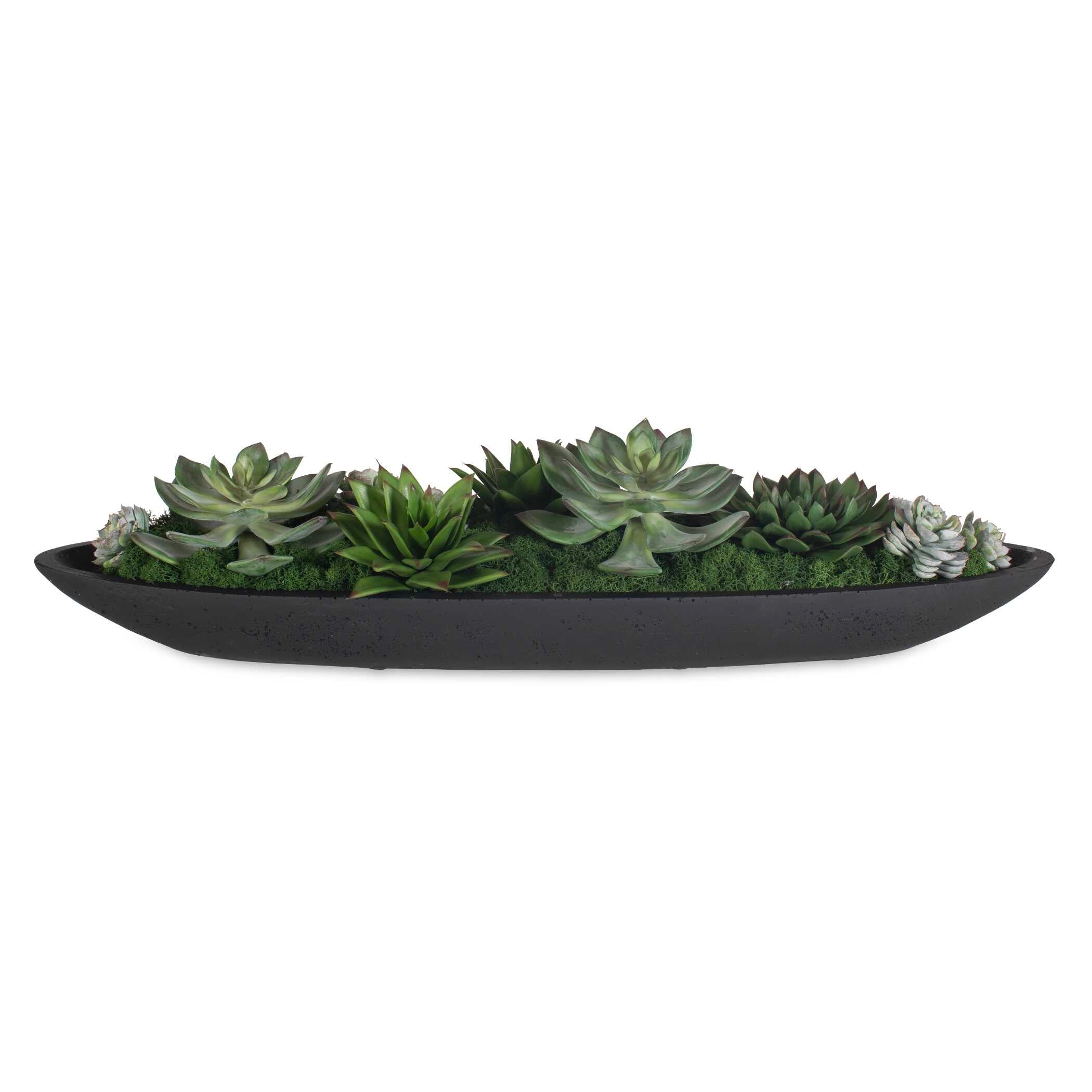 Uttermost Uttermost Verde Succulent Centerpiece In Bowl