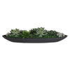 Uttermost Uttermost Verde Succulent Centerpiece In Bowl
