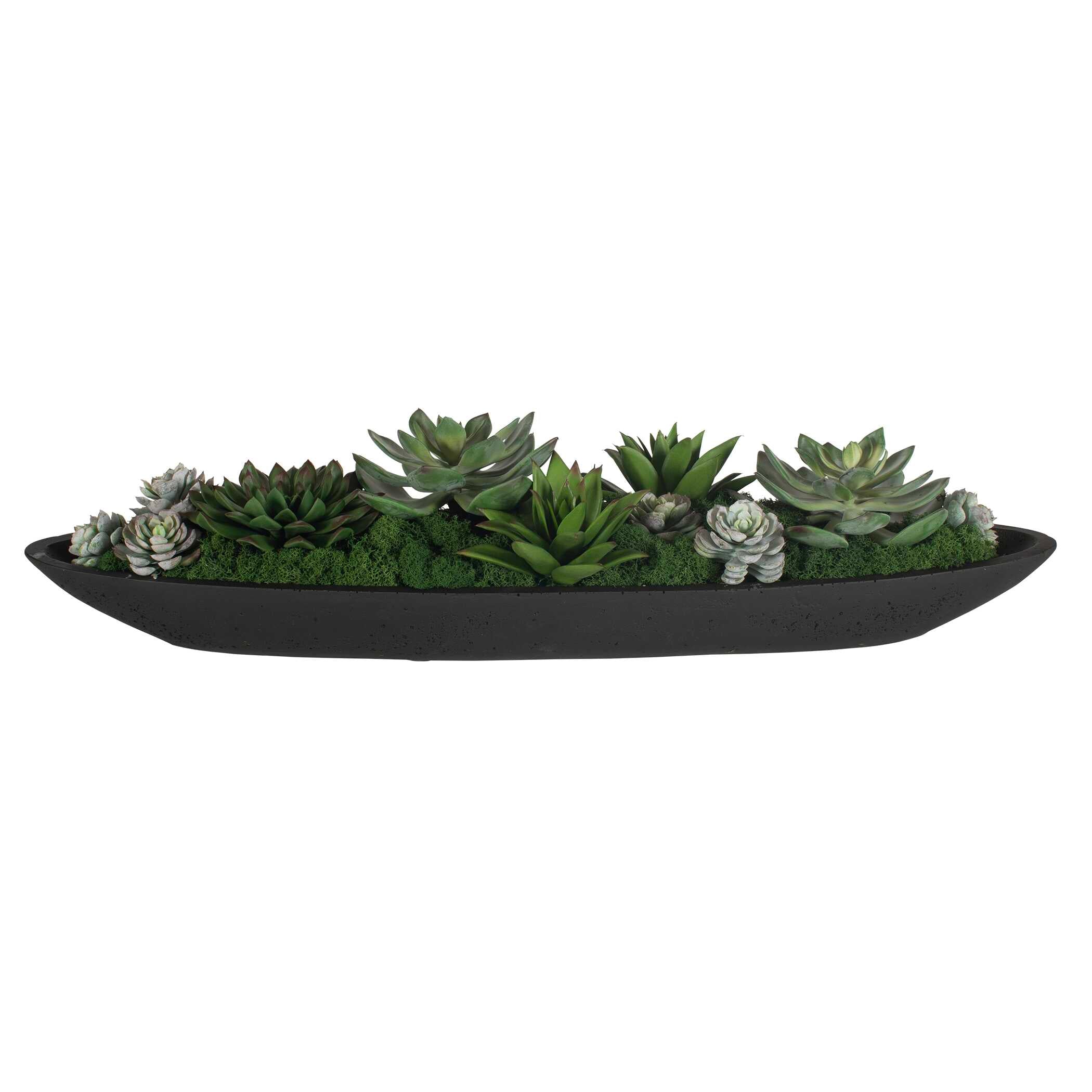 Uttermost Uttermost Verde Succulent Centerpiece In Bowl