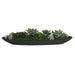 Uttermost Uttermost Verde Succulent Centerpiece In Bowl