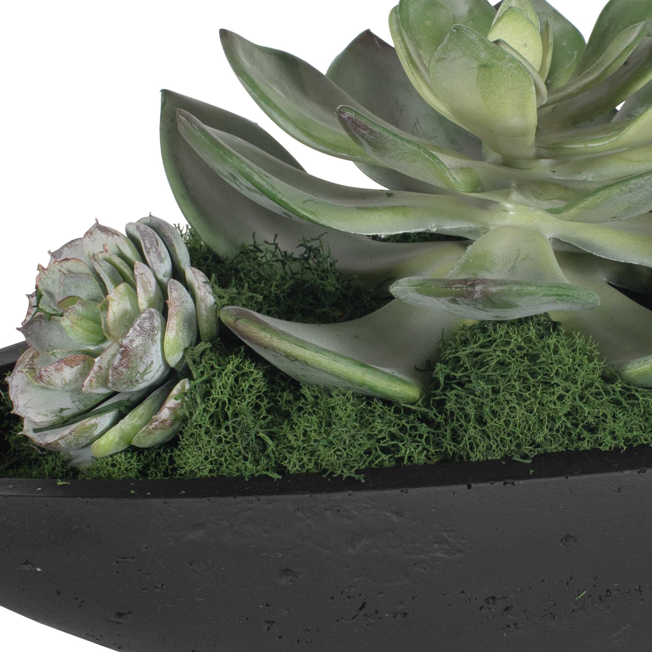 Uttermost Uttermost Verde Succulent Centerpiece In Bowl