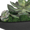 Uttermost Uttermost Verde Succulent Centerpiece In Bowl