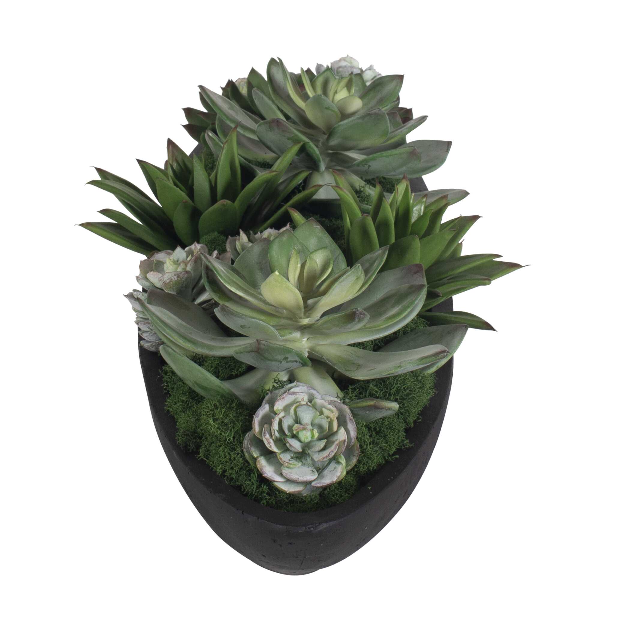 Uttermost Uttermost Verde Succulent Centerpiece In Bowl