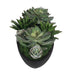 Uttermost Uttermost Verde Succulent Centerpiece In Bowl