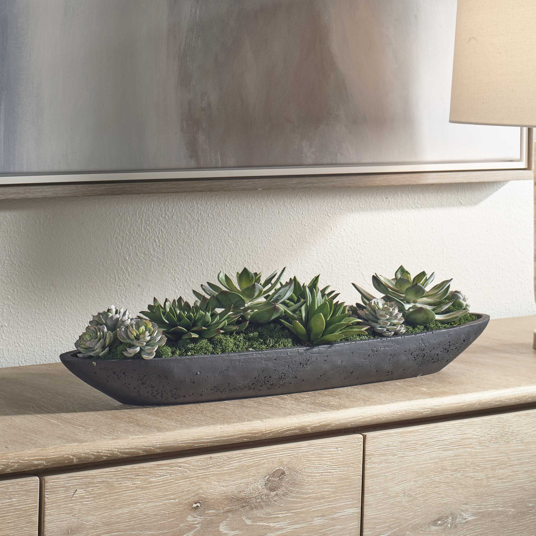 Uttermost Uttermost Verde Succulent Centerpiece In Bowl