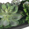 Uttermost Uttermost Verde Succulent Centerpiece In Bowl