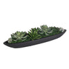 Uttermost Uttermost Verde Succulent Centerpiece In Bowl