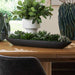 Uttermost Uttermost Verde Succulent Centerpiece In Bowl