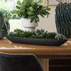 Uttermost Uttermost Verde Succulent Centerpiece In Bowl