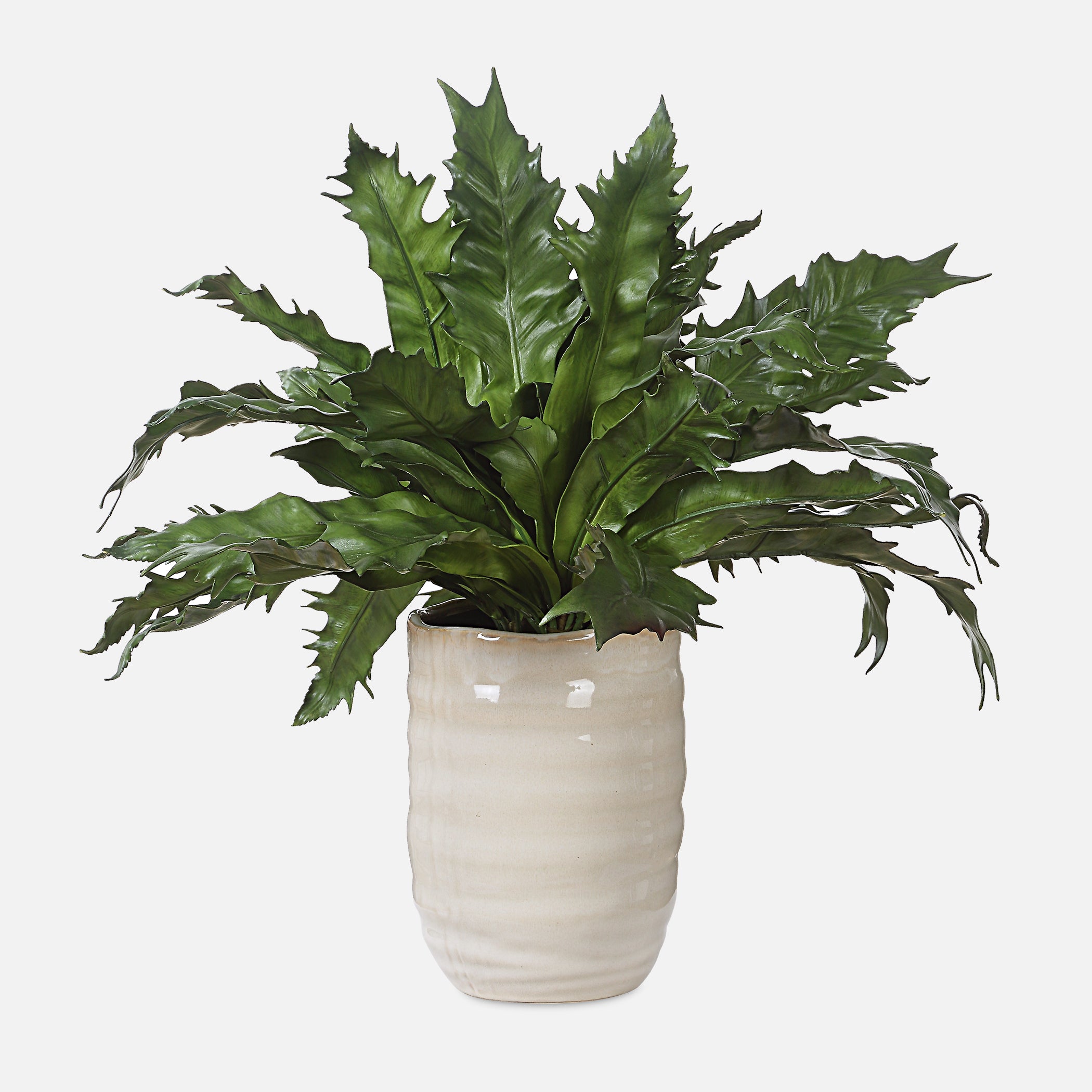 Uttermost Home Decor Uttermost Verdure Fern In Glazed Pot