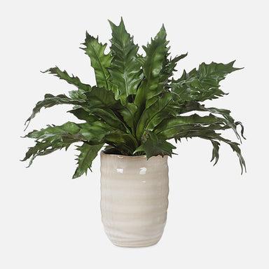 Uttermost Home Decor Uttermost Verdure Fern In Glazed Pot