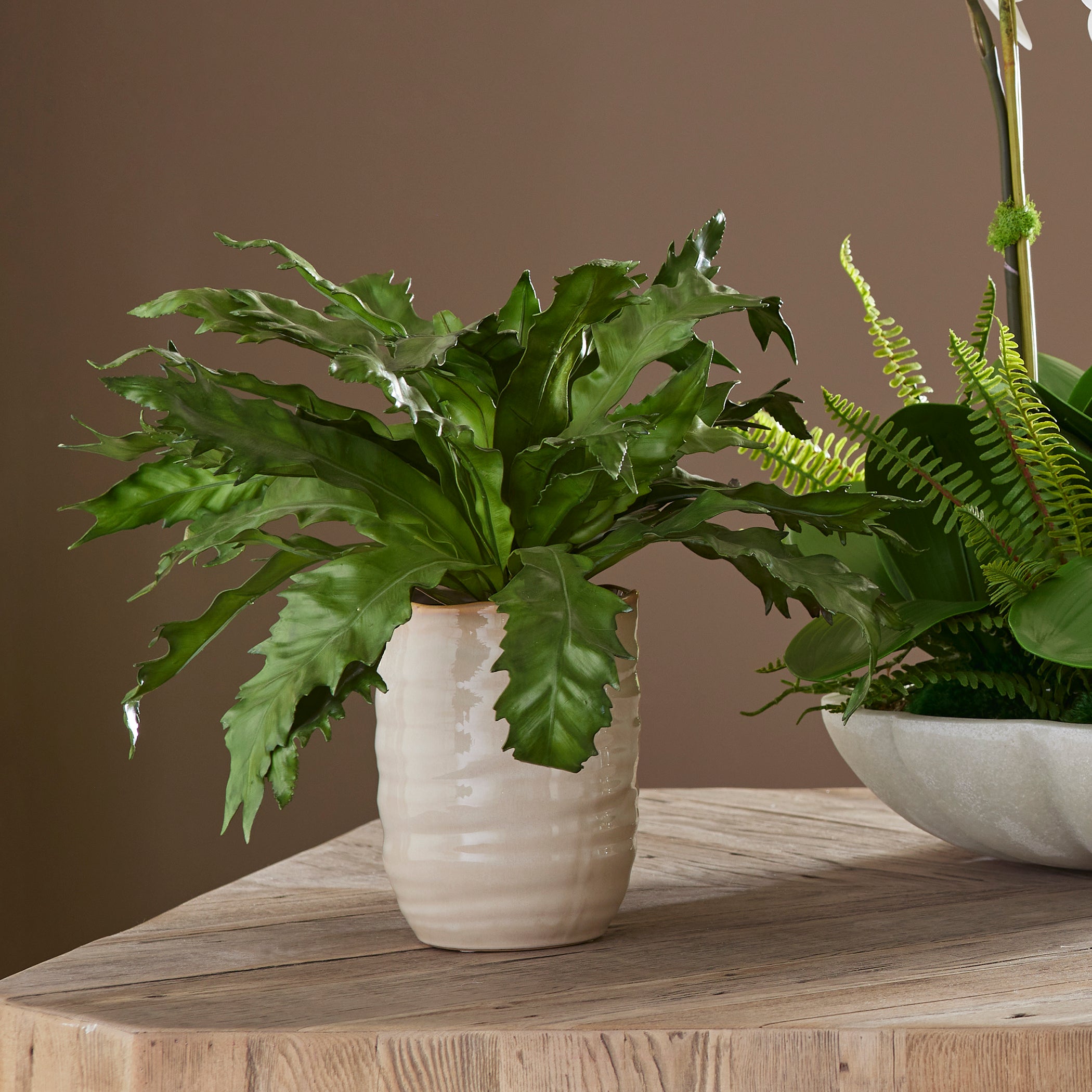 Uttermost Home Decor Uttermost Verdure Fern In Glazed Pot