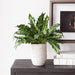 Uttermost Home Decor Uttermost Verdure Fern In Glazed Pot