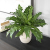 Uttermost Home Decor Uttermost Verdure Fern In Glazed Pot