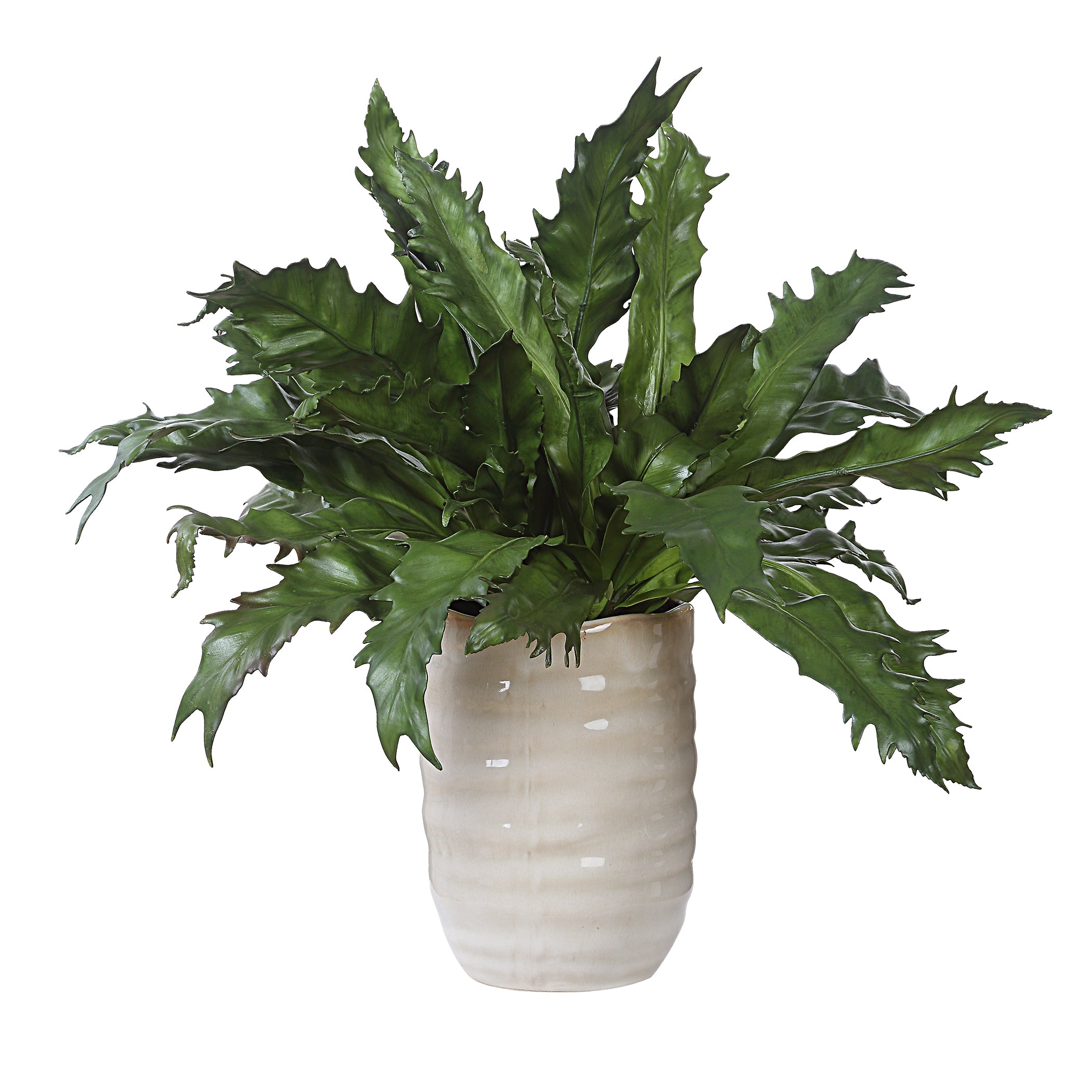 Uttermost Home Decor Uttermost Verdure Fern In Glazed Pot