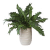 Uttermost Home Decor Uttermost Verdure Fern In Glazed Pot