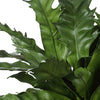 Uttermost Home Decor Uttermost Verdure Fern In Glazed Pot