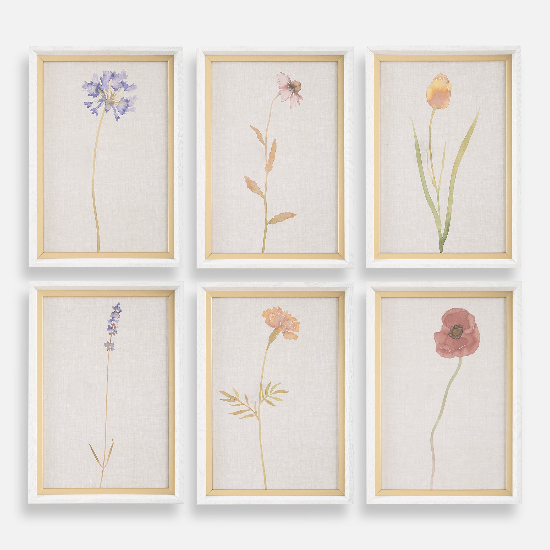 Uttermost Home Decor Uttermost Wild Flourish Framed Floral Prints Set/6