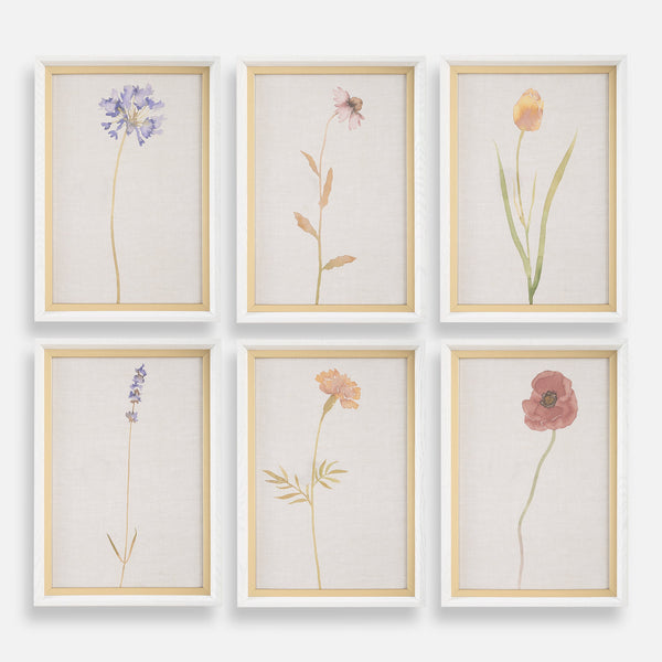 Uttermost Home Decor Uttermost Wild Flourish Framed Floral Prints Set/6
