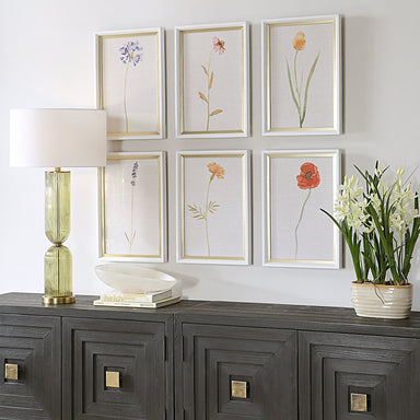 Uttermost Home Decor Uttermost Wild Flourish Framed Floral Prints Set/6