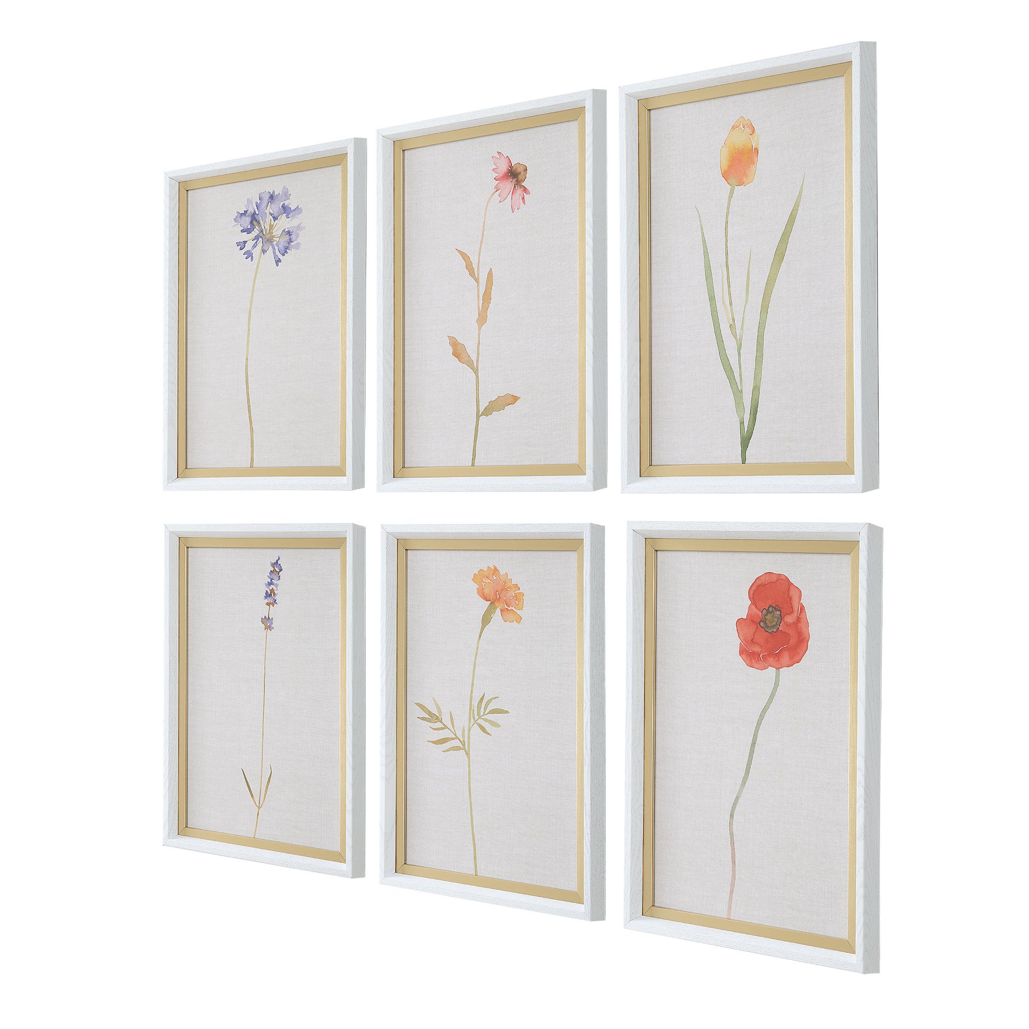 Uttermost Home Decor Uttermost Wild Flourish Framed Floral Prints Set/6