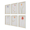 Uttermost Home Decor Uttermost Wild Flourish Framed Floral Prints Set/6