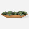 Uttermost Home Decor Uttermost Yuma Succulent Centerpiece