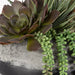 Uttermost Home Decor Uttermost Yuma Succulent Centerpiece
