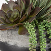 Uttermost Home Decor Uttermost Yuma Succulent Centerpiece
