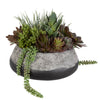 Uttermost Home Decor Uttermost Yuma Succulent Centerpiece