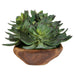 Uttermost Home Decor Uttermost Yuma Succulent Centerpiece - CLOSEOUT