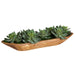 Uttermost Home Decor Uttermost Yuma Succulent Centerpiece - CLOSEOUT
