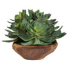 Uttermost Home Decor Uttermost Yuma Succulent Centerpiece - CLOSEOUT