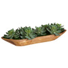 Uttermost Home Decor Uttermost Yuma Succulent Centerpiece - CLOSEOUT