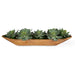Uttermost Home Decor Uttermost Yuma Succulent Centerpiece - CLOSEOUT