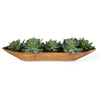 Uttermost Home Decor Uttermost Yuma Succulent Centerpiece - CLOSEOUT