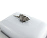 Vagabond House Serveware Vagabond House Conch Shell Stoneware Butter Dish