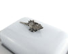 Vagabond House Serveware Vagabond House Conch Shell Stoneware Butter Dish