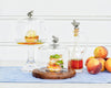 Vagabond House Serveware Vagabond House Cruet Bottle with Pewter Bee Cork Stopper