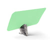 Vagabond House Serveware Vagabond House Owl Place Card Holder