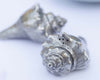 Vagabond House Serveware Vagabond House Pewter Conch Shells Salt & Pepper Set