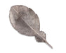 Vagabond House Serveware Vagabond House Pewter Feather of Icarus Tray