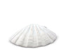 Vagabond House Serveware Vagabond House Shrimp Porcelain Shell Plate