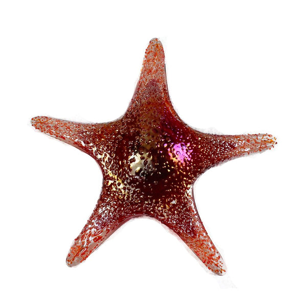 Viz Art Glass Art Glass Starfish Wall Art by Viz Glass 7840BIR