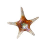 Viz Art Glass Art Glass Starfish Wall Art by Viz Glass 7842SIR