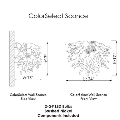 Viz Art Glass Lighting Viz Art Glass ColorSelect Sea Spray Blown Glass Wall Sconce
