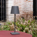 Zafferano Lighting Poldina Pro L Desk Lamp