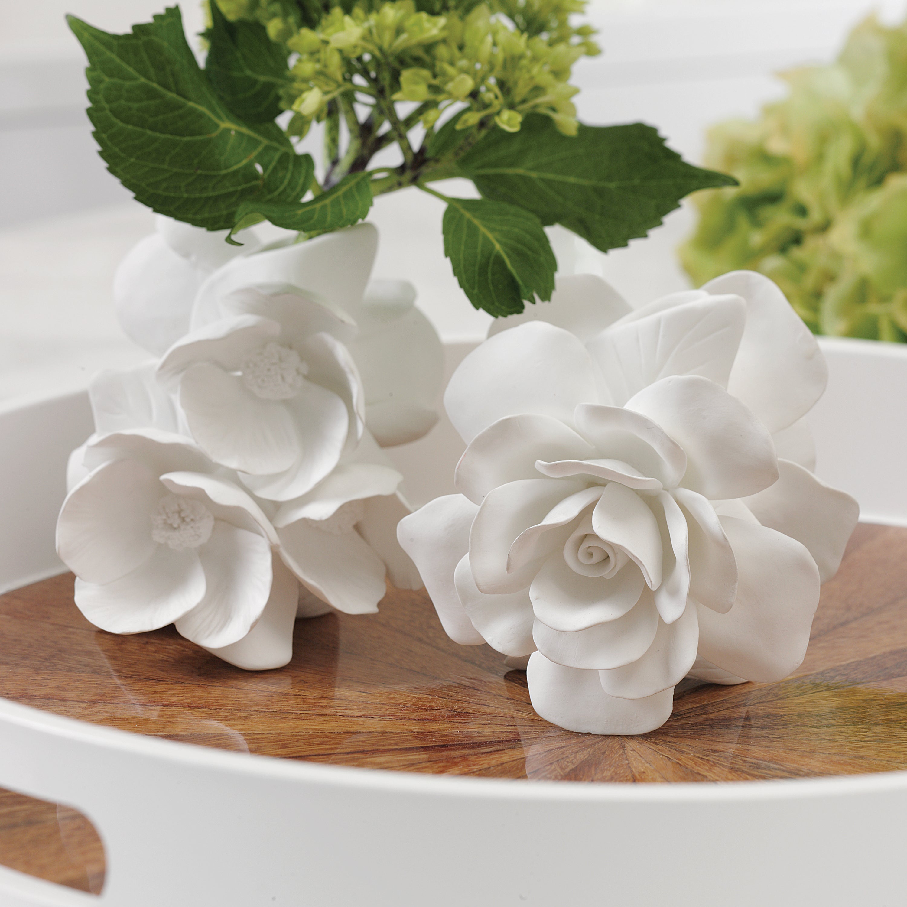 Zodax Giftware Cameo Porcelain Vases- 4 Assorted Styles