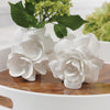Zodax Giftware Cameo Porcelain Vases- 4 Assorted Styles